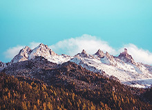 赛事官方分享SofM回归后首次登场：Welcome back, SofM!